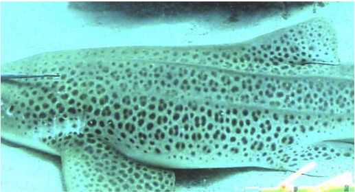 6da14e8f-d926-487c-afae-936e8b271389