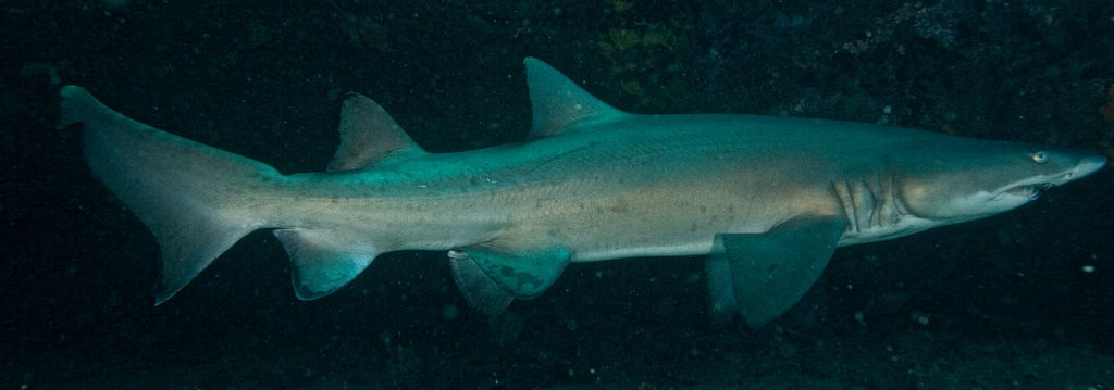 b965b5e6-d382-409e-9dc6-b0ebb62eb3c3