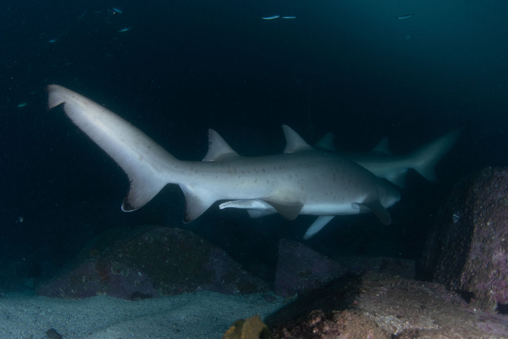 f8dc9b73-a743-427c-a5b3-86ffe79da5ec