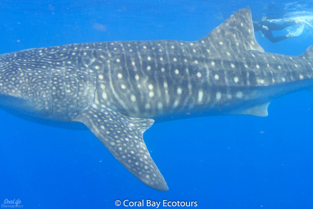 3ee46842-7129-4c2d-b31b-3fe962e2ddf7