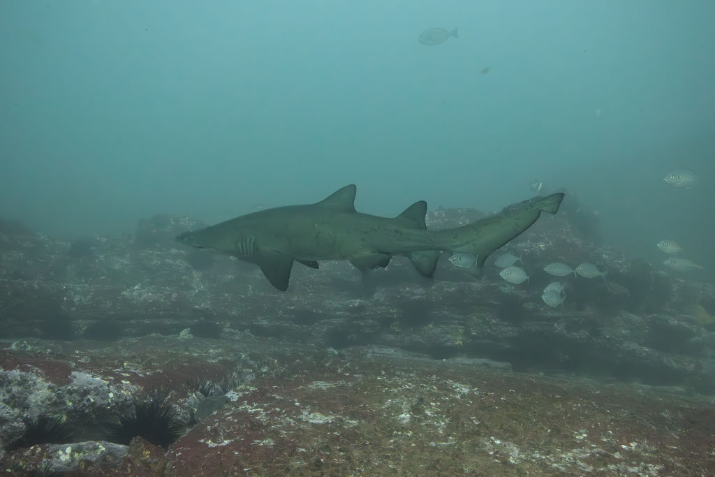 d74bd794-f6e3-44a5-a64b-c00f205ae668