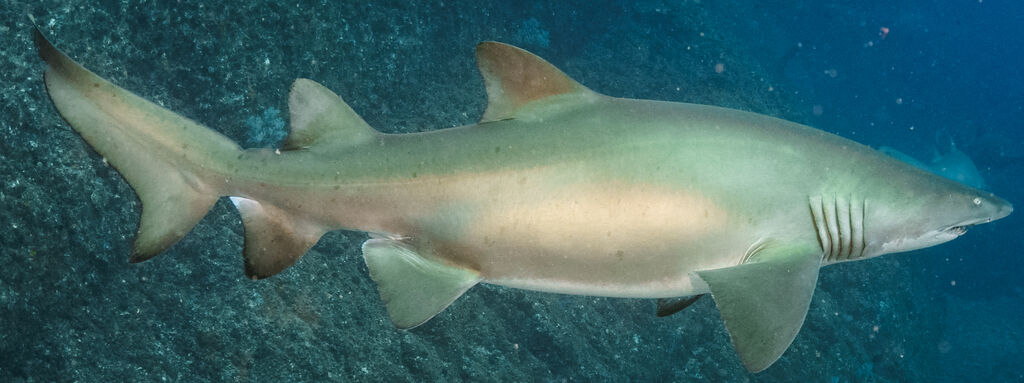 f7f04bb8-f635-4b22-b124-7df19654ddd7