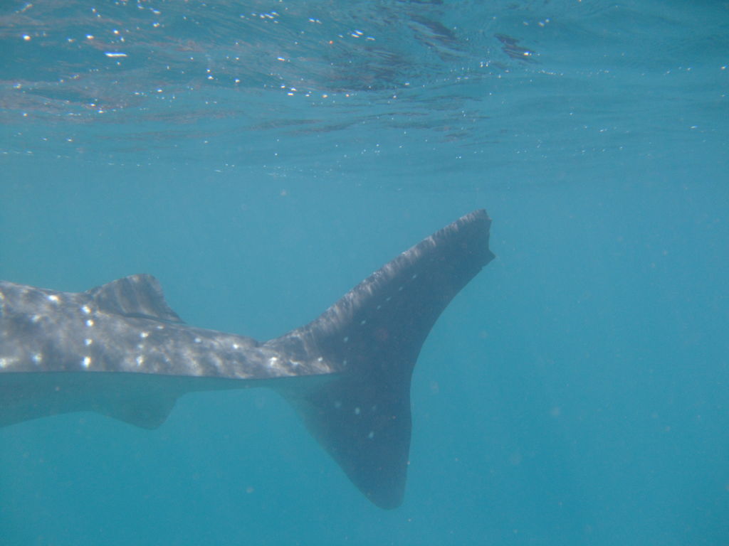 a2edff80-2f89-4ec2-8813-0981d6c59116