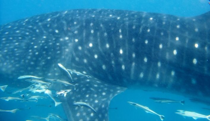 7471e4ad-5f67-4b8c-9775-de28ba1c1e77