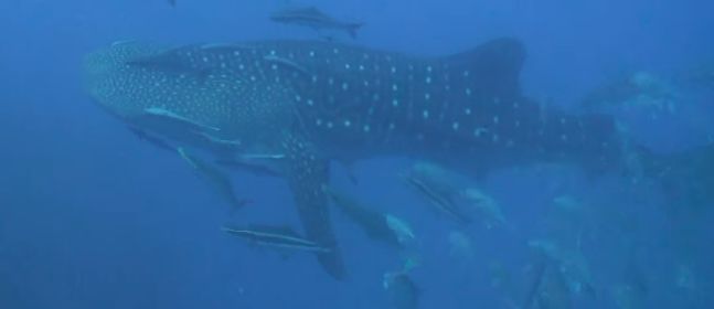 f349bd7a-688c-4608-a091-2a670aa7891c