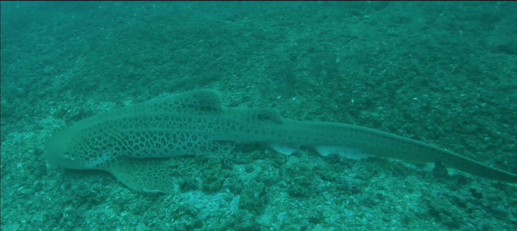 6765fb7d-3930-423a-9fb7-0c69e1caf53c