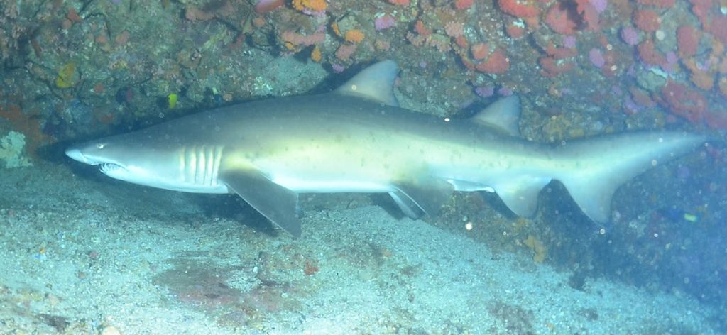 0fc97ede-5f0b-4abc-b32b-7f7374948fa5