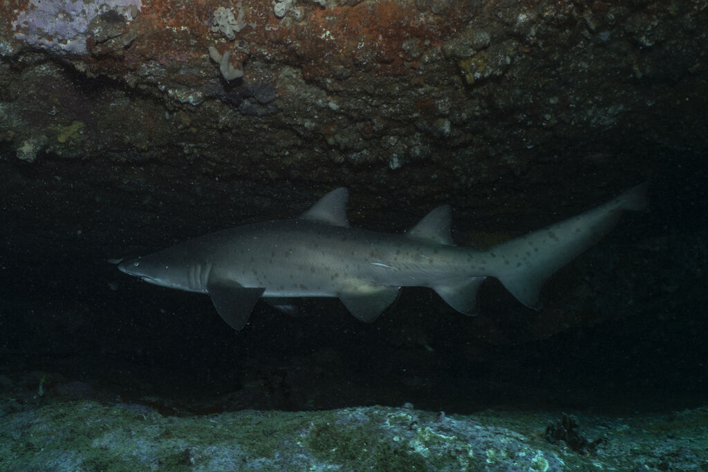 c4d978b1-10b1-424b-9f93-94011d5005a8