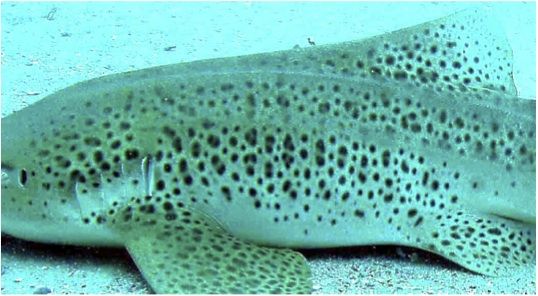 1a8ffb1a-5cd2-4843-a685-dfd56ec8789b