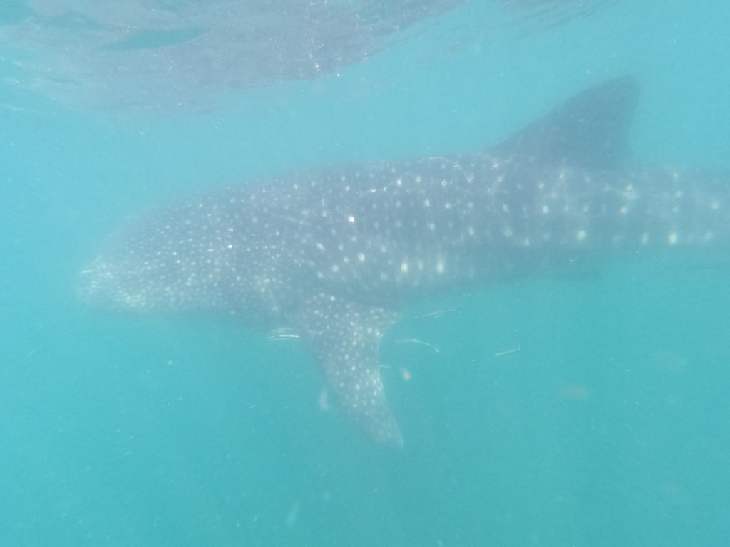 bd02de44-43cc-4182-9a9b-98dd8e66726a