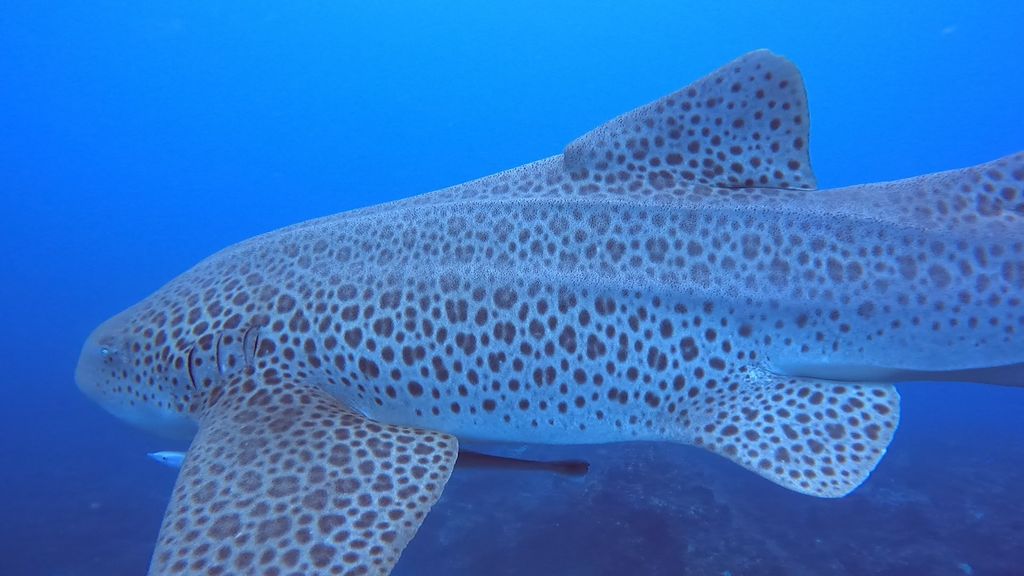 3a0e97f2-2667-4067-9dc1-cffe2746ef29