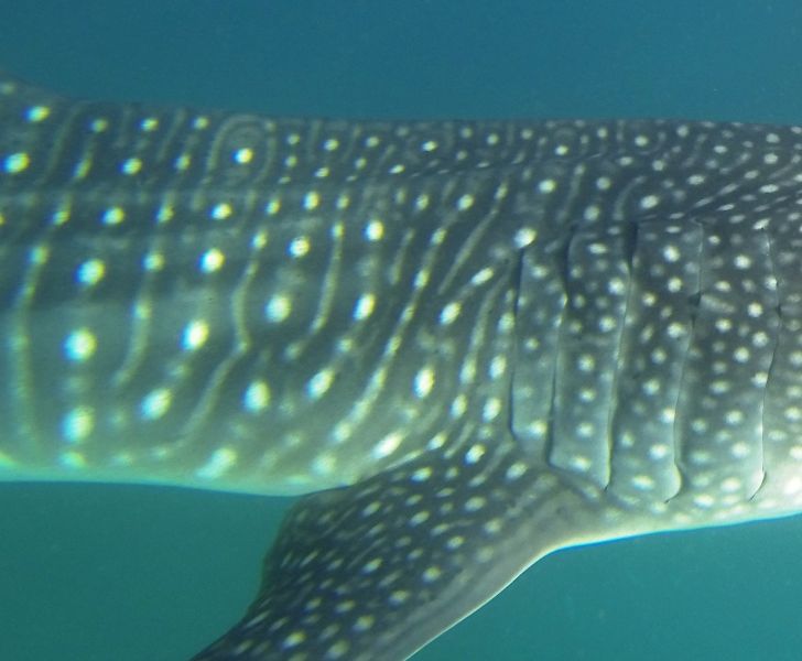 6bf69d31-82fb-484d-b5c9-6b45c6b61988