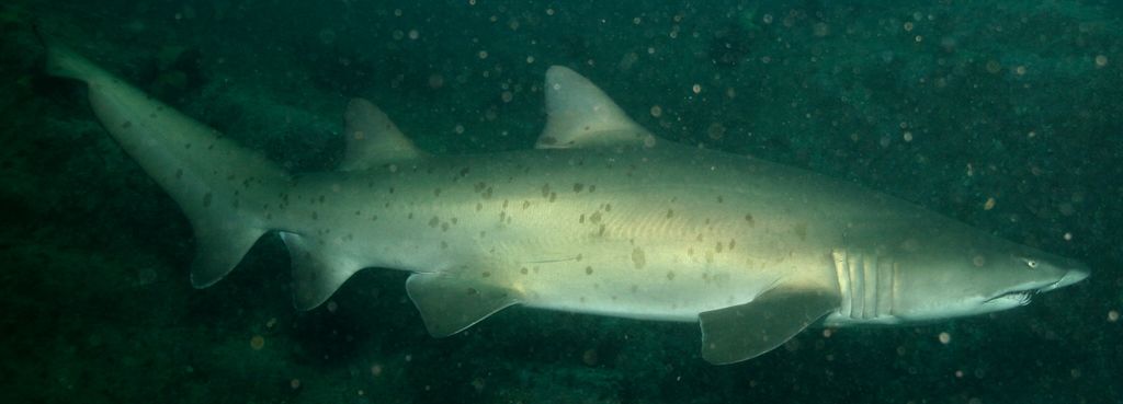 180d7300-b543-4eac-b3e2-a999c7f85026