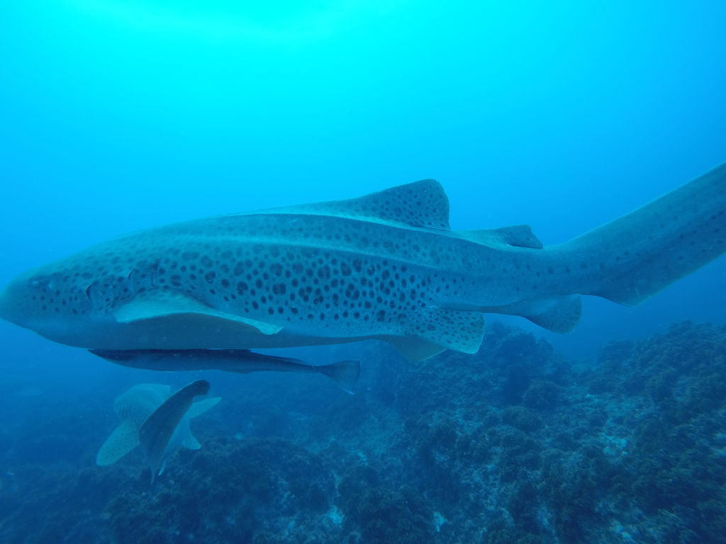 6659eb34-cd45-479b-89a8-8d8421eac661