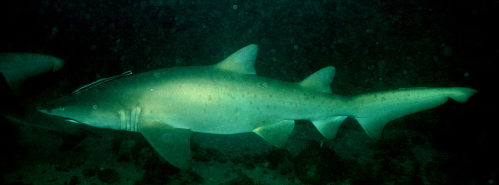 c33e1f57-6f51-41ef-b9e5-dfb3a1124bfd