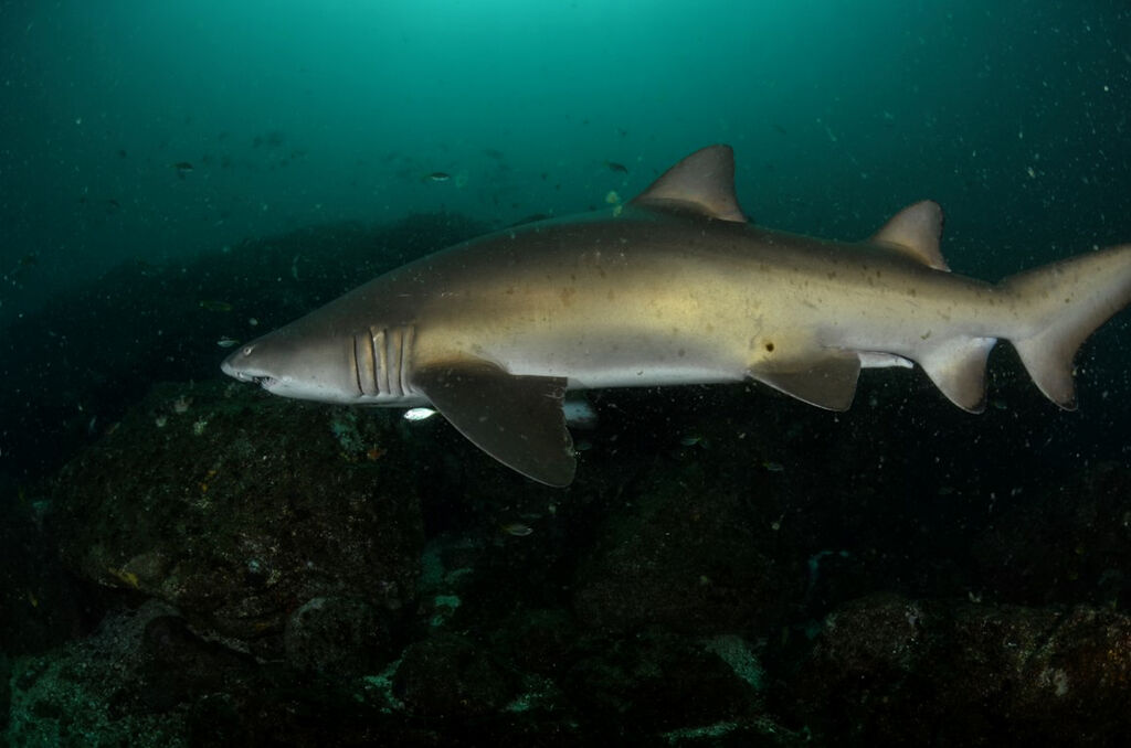 1e640785-6ce6-4ea2-837c-7dc87ed9f21e