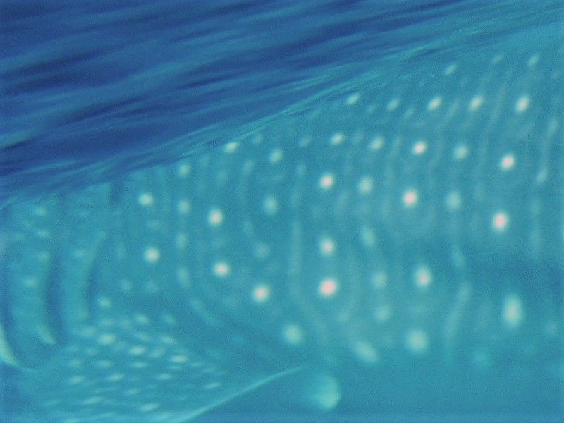 63f2aa2a-81c9-4b43-8d6a-52a1f8a0a4c5