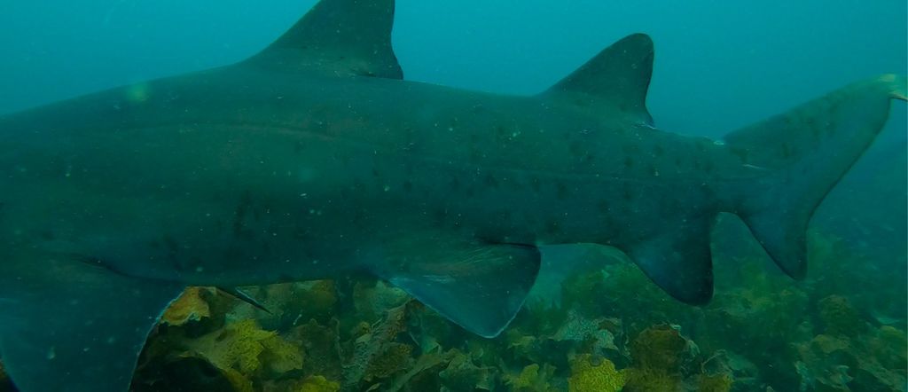 dfc1fa7f-9a71-45ab-bb48-6a5651399946