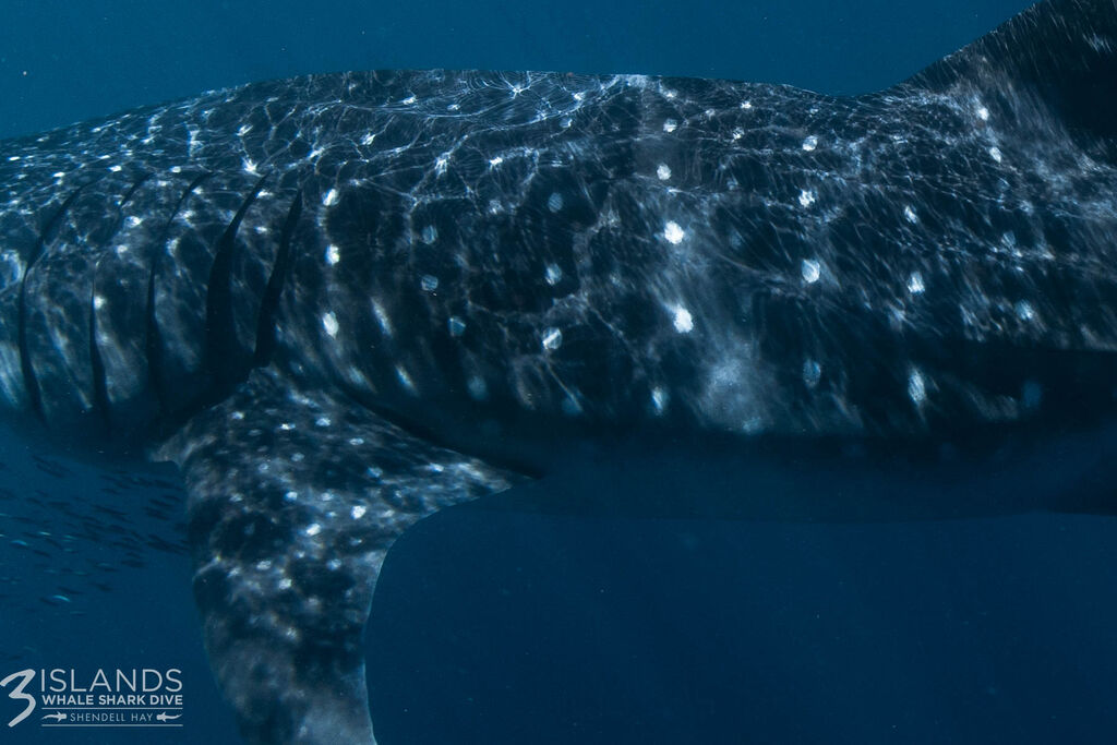 2c305160-cb55-4141-91ca-c1448106def9