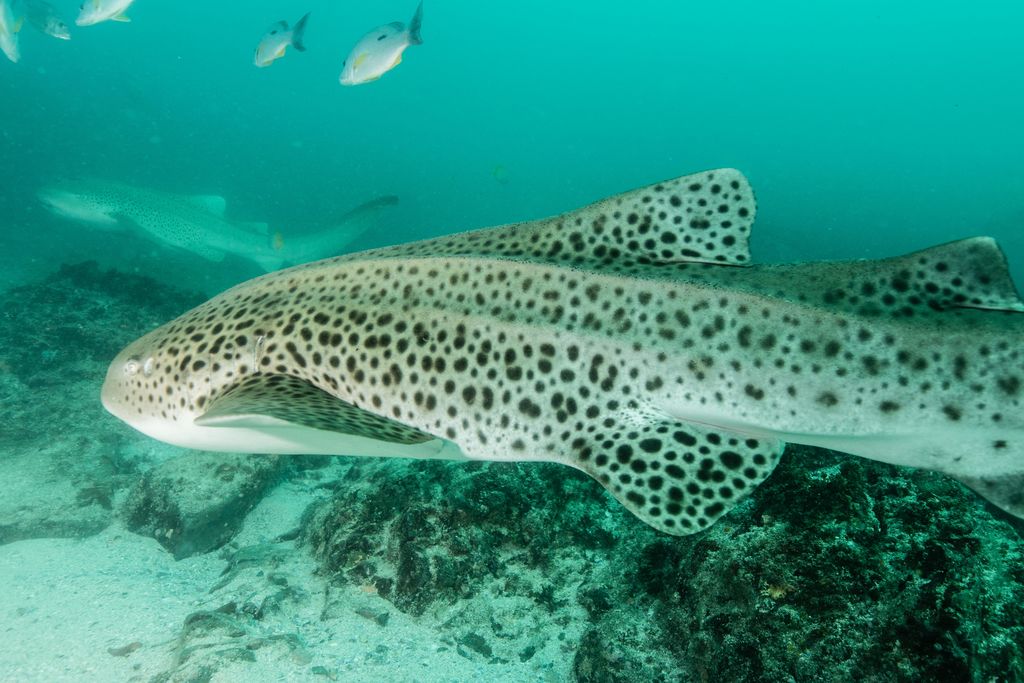 6ded00ef-f619-46a8-b195-f95e54ea13e2