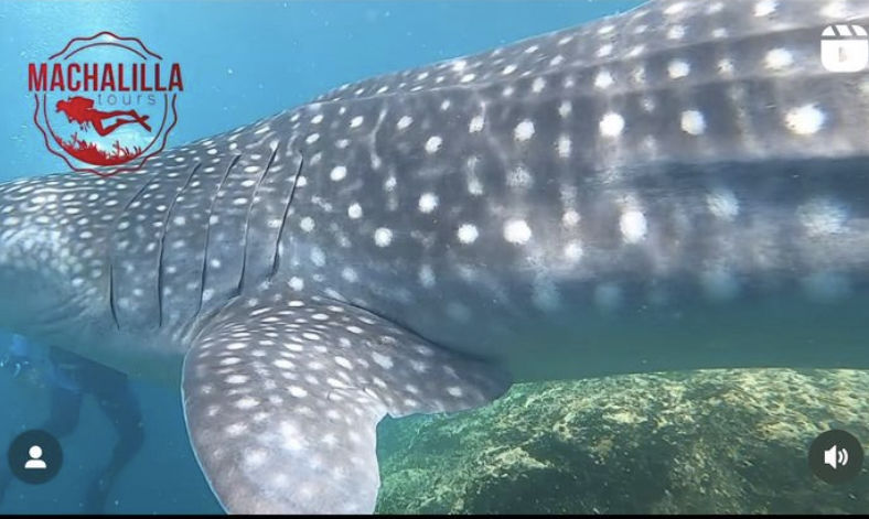 843cc9a2-32f0-45b0-bd45-ee4505310b5a