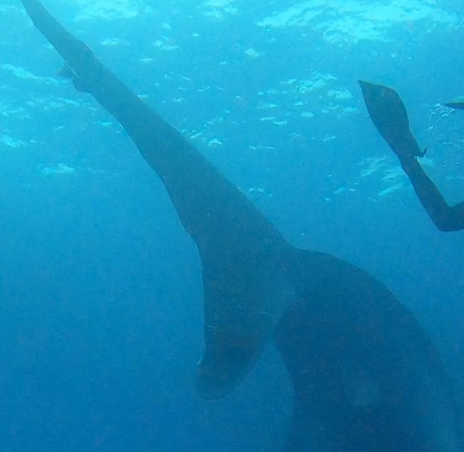 c37cb124-7d1b-411e-bef0-281ddbf3331c