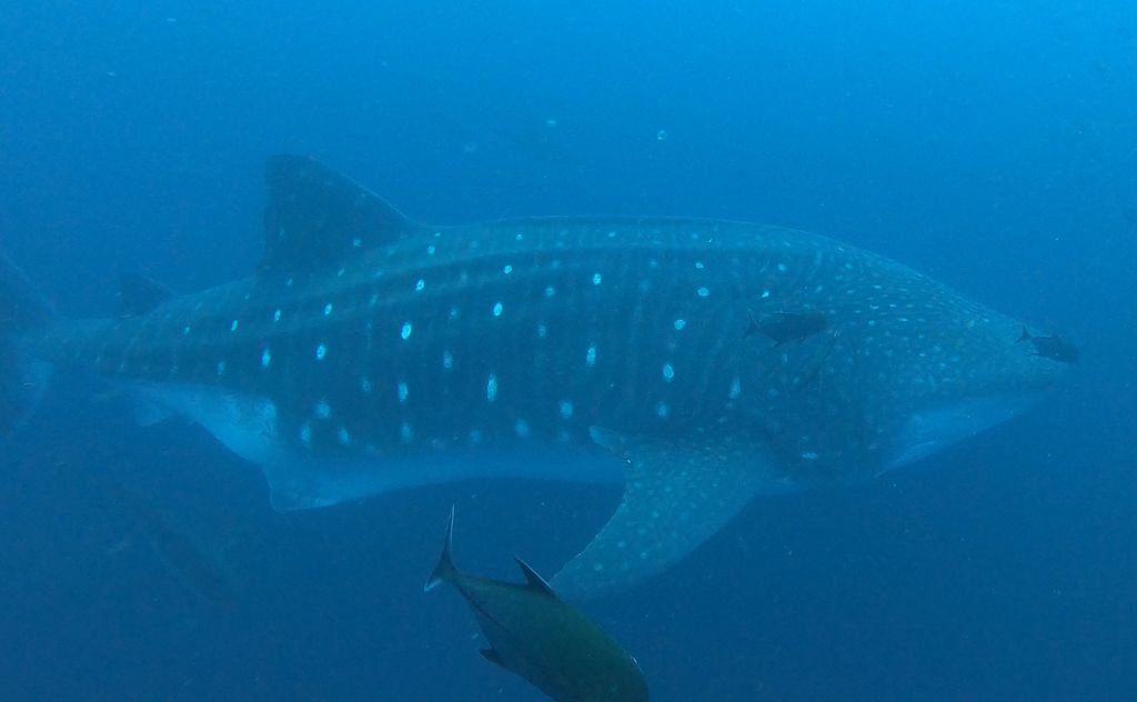 c37cb124-7d1b-411e-bef0-281ddbf3331c