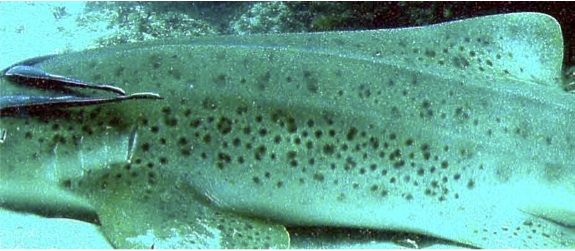 8fd8e6f3-9e25-4818-adf3-ee544e773268