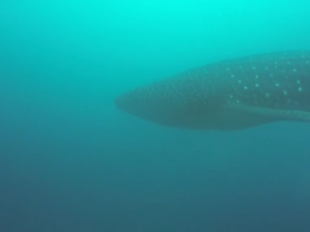 cb48a79d-c3fd-4ccb-b222-bbee6a168bcf