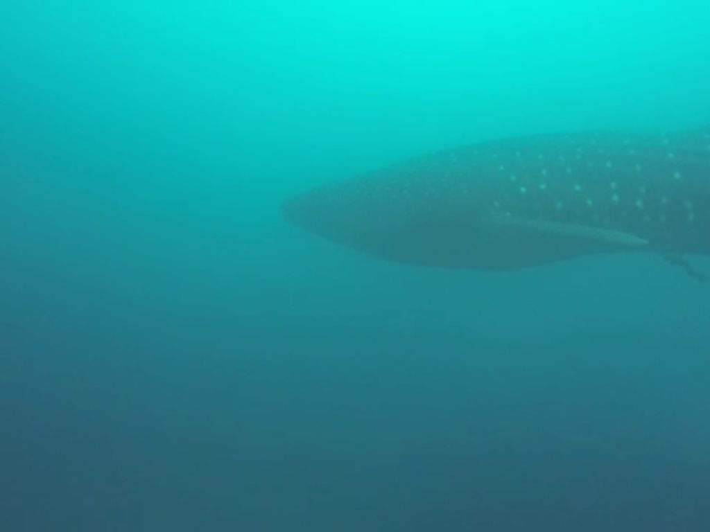 cb48a79d-c3fd-4ccb-b222-bbee6a168bcf