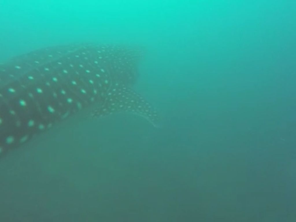 cb48a79d-c3fd-4ccb-b222-bbee6a168bcf