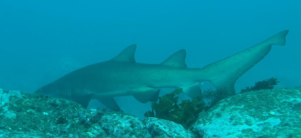 d9e28203-9511-405e-aa55-e29269440dff