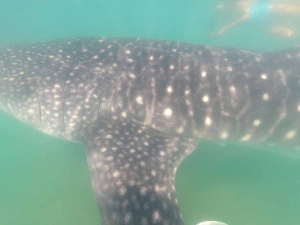 8c4f4ffa-c126-40a1-a258-c5f8ffa785cd