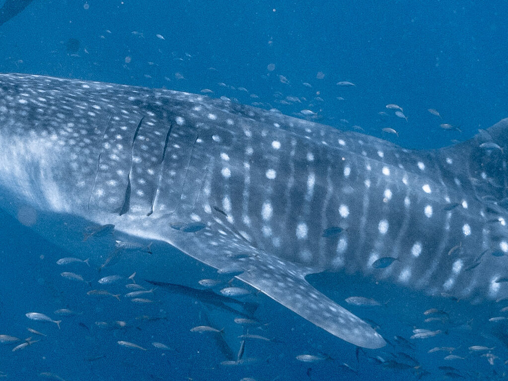 f242415a-7422-4903-b4da-12d2c315549d