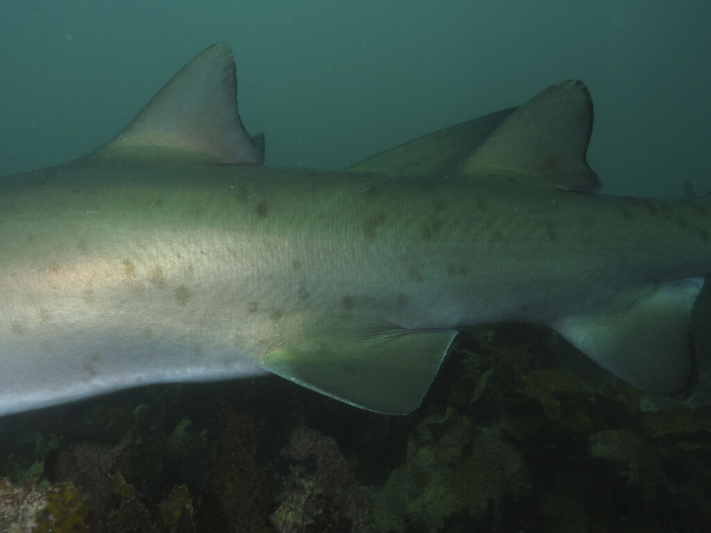 858eec47-7cff-4ecd-be4d-ed5a1cd687e1