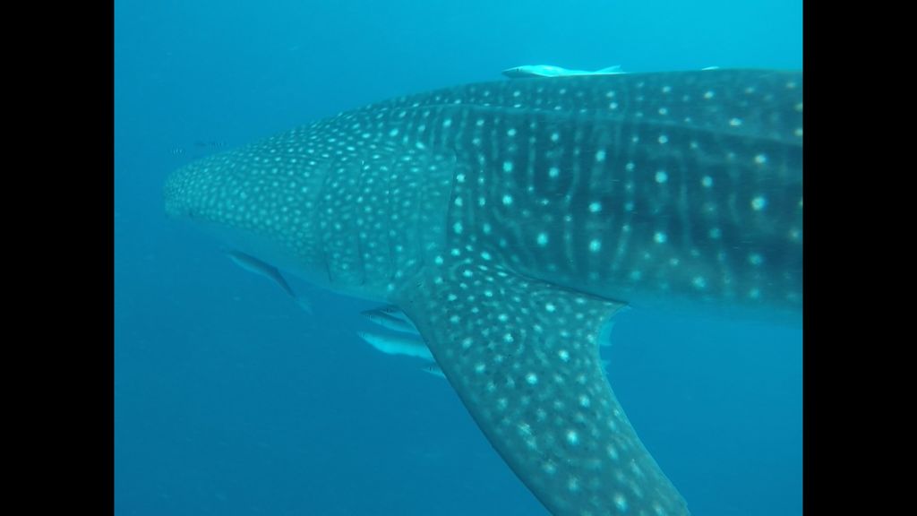 19261c1e-5581-41c5-87e5-3bcbaa70fb2b