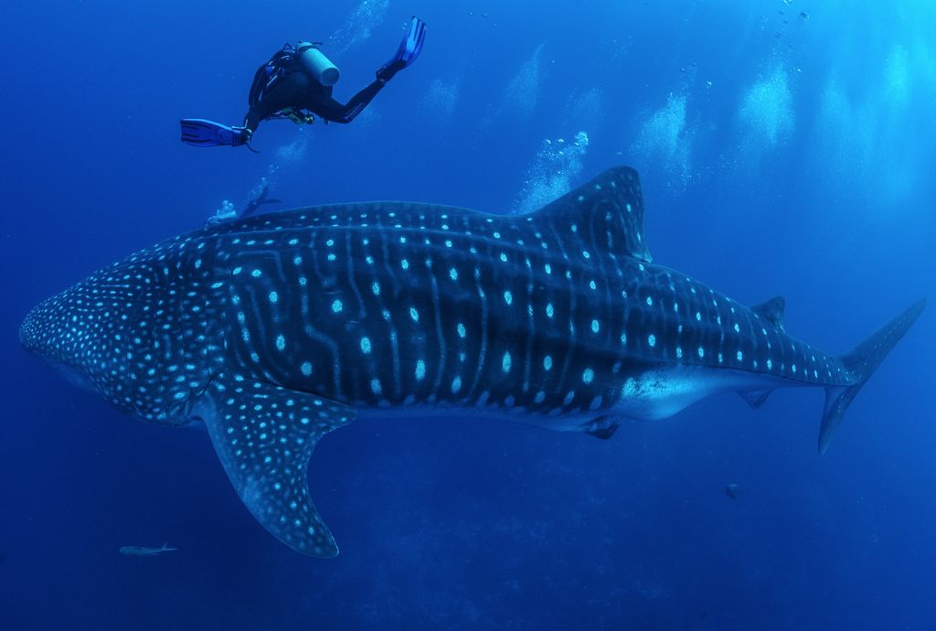 dca4d479-769f-48a7-b985-832732700929