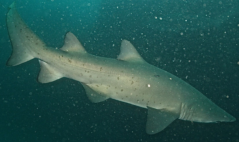 b26c4576-2aa9-4d19-915e-27951948e75f