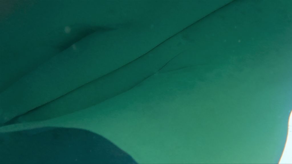 978b5347-4907-4a92-b83e-53733d693b89