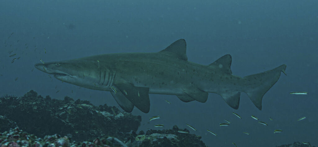 9fd57f43-284a-4a24-8248-27a8d6f8f877