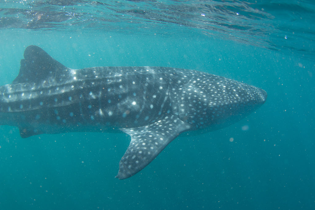 321e7450-cdd9-4e01-b48e-6c3bcf09441e