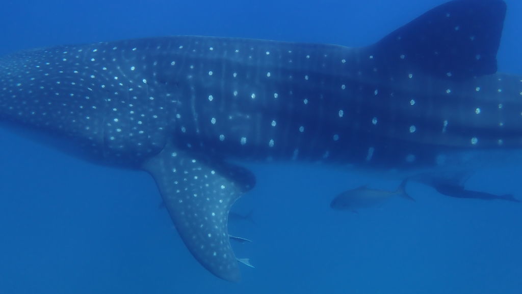 79ea57a1-de48-4c22-b17b-240d8e61fd55