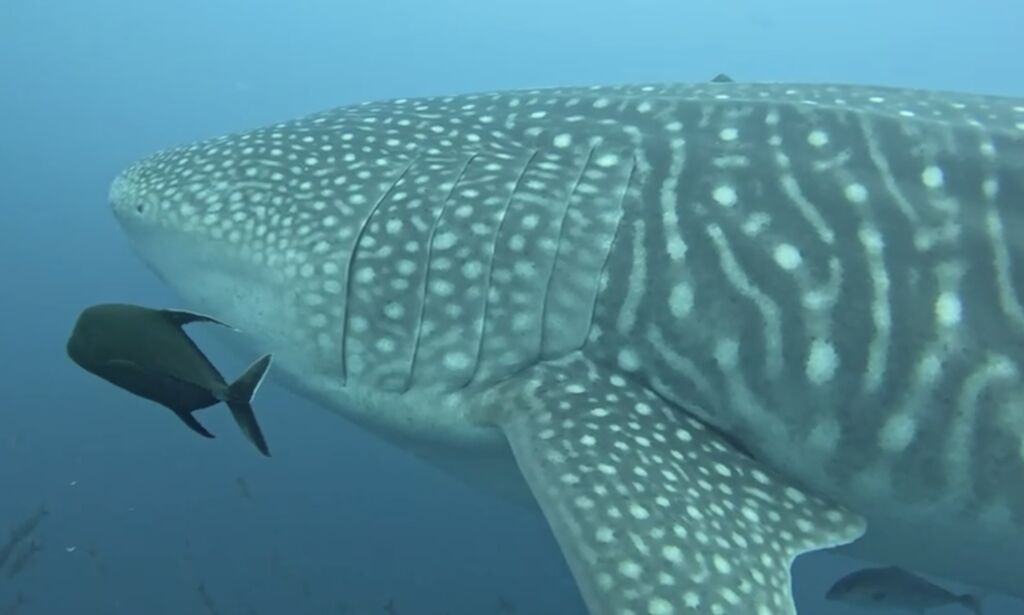 3d479272-8016-444b-97af-8b68b23d1917