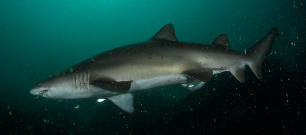 c7261ddf-4002-4672-ac04-9b8190a7dde6