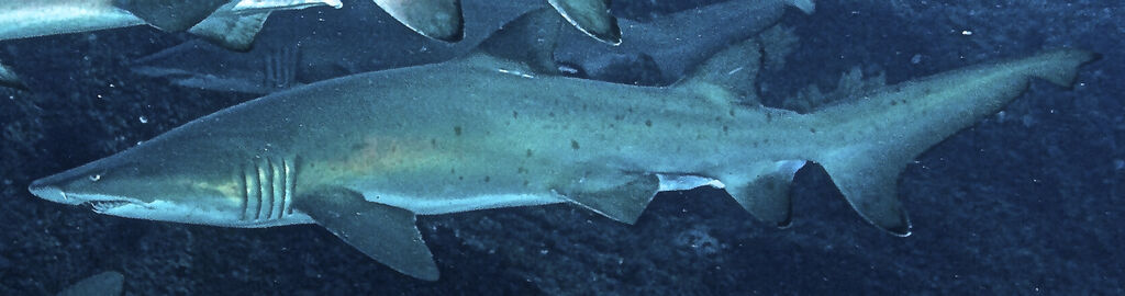 68c46375-deab-4154-abba-c41ecf2b3ac8