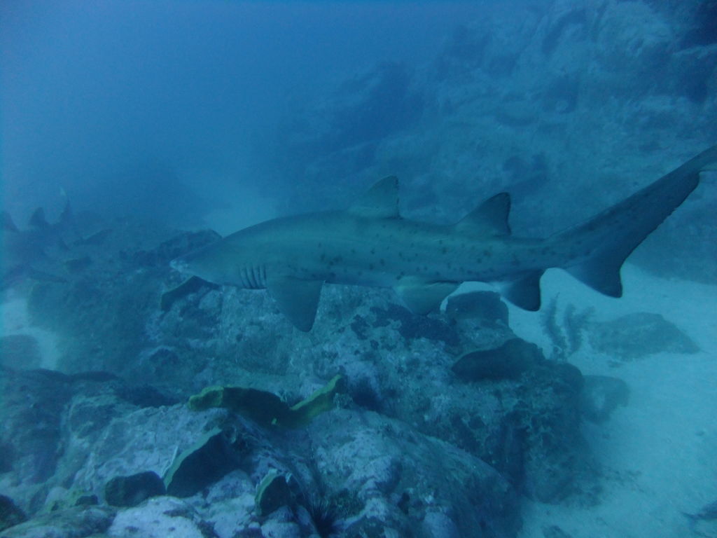 c3f6acda-0f64-459b-8dff-5a65927873de