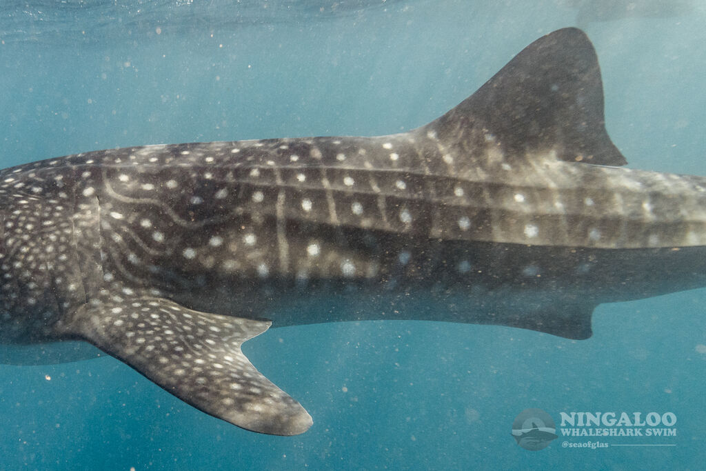 c916d5e6-e072-492c-bc47-27cc989d5207