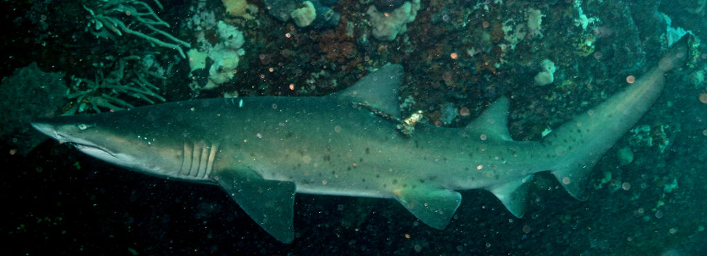 f813d3b3-5452-458a-a80a-e16ab1542cdf