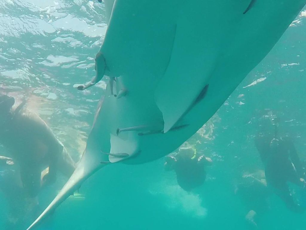 4d15b8ba-4eac-4623-8bde-355256bf43f8