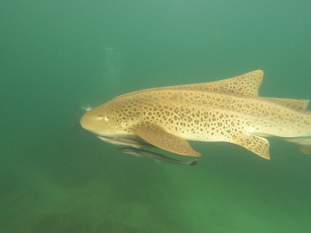 1f9b74a8-d0f8-42f2-a915-9fca84344d51